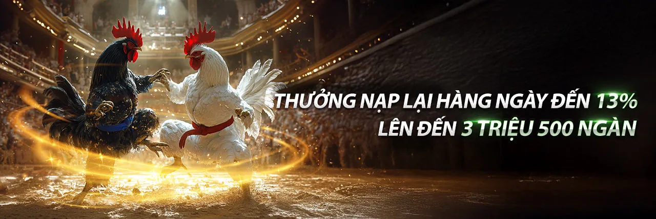 Đấu trường đá gà 7789bet link mới sôi động